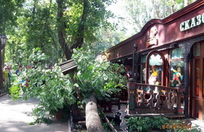 В Одесском Городском саду упала ветка дерева (ФОТО)