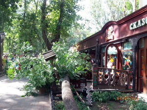 В Одесском Городском саду упала ветка дерева (ФОТО)