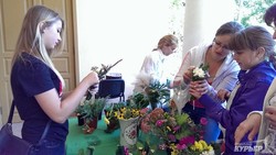«Осенний день в саду»: Ботанический сад встречает гостей (ФОТО)