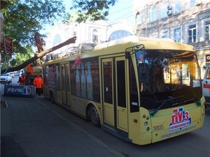 В центре Одессы на троллейбус упало дерево (ФОТО)