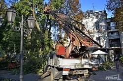 В одесском Городском саду от ветра упало три дерева (ФОТО)