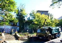 Попил и откат в Одессе: "Горзелентрест" борется с деревьями (ФОТО)
