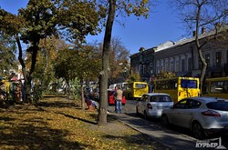 Начало золотой осени в Одессе (ФОТО)