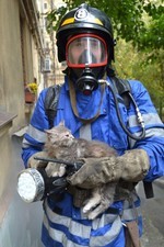 Одесские пожарные спасают котиков (ВИДЕО)