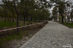 Аллеи в парке Шевченко получили официальные имена (ФОТО)