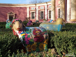 Одесский художественный музей захватило стадо овец (ФОТО)