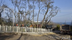 На Ланжероне срезают склон и пилят деревья: парковки вместо парка (ФОТО)