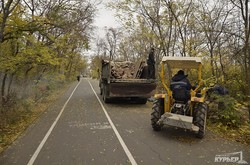 На Трассе Здоровья работает тяжелая техника: пилят деревья (ФОТОРЕПОРТАЖ)
