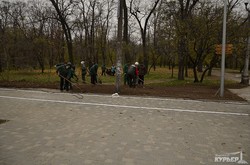 На Суворовской аллее парка Шевченко рисуют велодорожку (ФОТО)