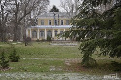 Первый настоящий снег в Одессе (ФОТО)