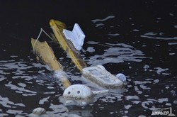 Водоплавающие птицы и суда: прогулка по Морвокзалу в первый зимний день (ФОТО)