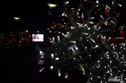 В Одессе уже есть первая новогодняя елка - в Аркадии (ФОТО)