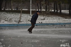 Каток, хоккей и птицы: в одесском парке Победы замерзли озера (ФОТО)