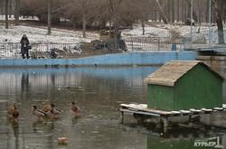 Каток, хоккей и птицы: в одесском парке Победы замерзли озера (ФОТО)