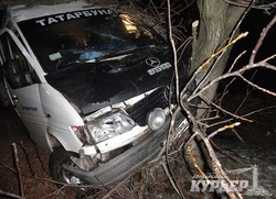 Авария на трассе Одесса - Маяки: автобус врезался в дерево, погибло 2 человека (ФОТО)