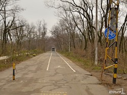 Пешеходные дорожки Трассы Здоровья и Парка Шевченко превратились в грязные дороги