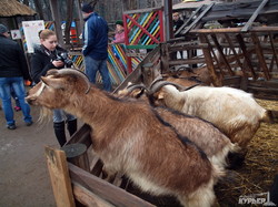Одесский зоопарк: приватизация или утка (ФОТО)