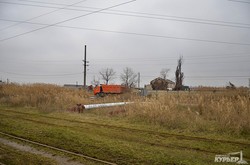В Одессе могут скрывать масштабы аварии на НПЗ (ФОТО)