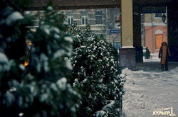 Вхурделячило: Одесса в снегу (ФОТОРЕПОРТАЖ)