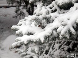 Одессу продолжает заметать снегом