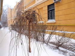 В Одессе наступает снежный коллапс (ФОТОРЕПОРТАЖ)