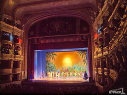 Необычный новогодний подарок от Одесской оперы: "Король Лев" (ФОТО)