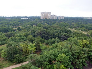 У более чем 70 одесских парков и скверов нет границ: раздолье для застройщиков