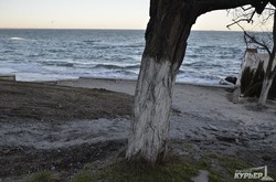 Морские волны разбили берег на пляже Дельфин (ФОТО)