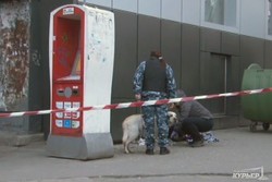 Вторая бомба в Одессе за сутки: обезвредить помогла собака (ФОТО)