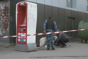 Вторая бомба в Одессе за сутки: обезвредить помогла собака (ФОТО)