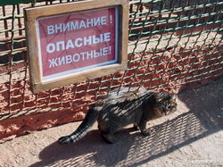 Кто на самом деле хозяин в Одесском зоопарке? (ФОТО)
