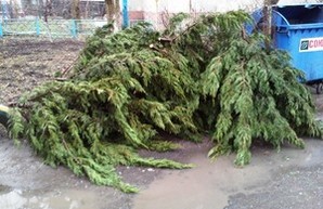 Лесоповал в одесском жилмассиве Таирова (ФОТО)