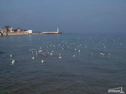 Весенняя морская феерия в Одессе (ФОТО)