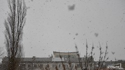 Весенний снегопад в Одессе (ФОТОФАКТ)