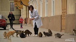Одесские санитарные котики с Приморского бульвара (ФОТО)