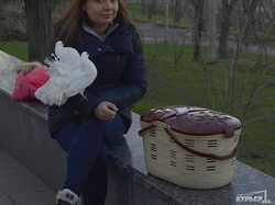 Одесские фотографы-живодеры гоняются за орлами (ФОТО)