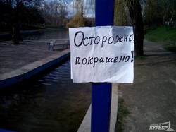 Одесский парк Победы готовят к праздникам: в пруды выпустили лебедей, а территорию приводят в порядок (ФОТО)