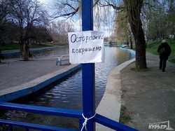 Одесский парк Победы готовят к праздникам: в пруды выпустили лебедей, а территорию приводят в порядок (ФОТО)