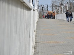 Одесские склоны и бульвар Жванецкого убирают от мусора (ФОТО)