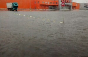 Дождь и шторм в Одессе привел к падению деревьев и затоплениям (ФОТО, обновляется)