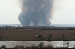 Пожар в Нижнеднестровском национальном парке в Одесской области (ВИДЕО)