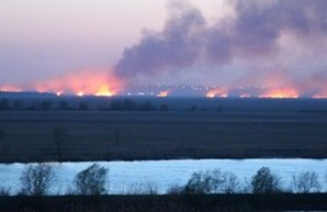 Пожар в Нижнеднестровском национальном парке в Одесской области (ВИДЕО)