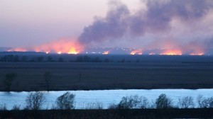 Пожар в Нижнеднестровском национальном парке в Одесской области (ВИДЕО)