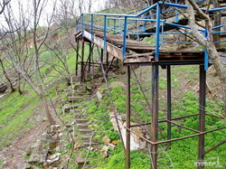 Одесская лестница к морю - в зарослях и руинах (ФОТОРЕПОРТАЖ)