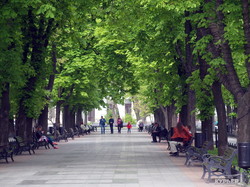 Весенняя феерия Приморского бульвара в Одессе (ФОТО)