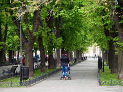 Весенняя феерия Приморского бульвара в Одессе (ФОТО)