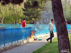 Одесский парк Победы: красота природы и преображение от коммунальщиков (ФОТО)