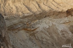 Под Одессой на берегу Днестра незаконно добывают песок (ФОТО)