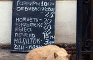 В одесских забегаловках растут цены (КОТОФАКТ)