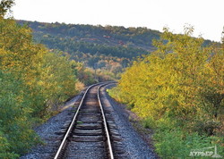 Воры сделали невозможным движение поездов на 44-километровой железнодорожной ветке (ФОТО)